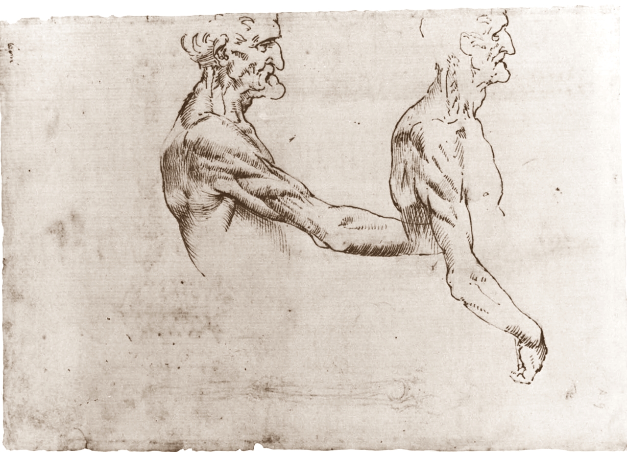 Leonardo+da+Vinci-1452-1519 (781).jpg